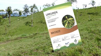 Bäume und Regenwald in Ecuador: Wir wünschen uns Baum-Pflanzer.
